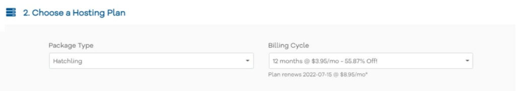 Choose the hosting package and billing cycle.