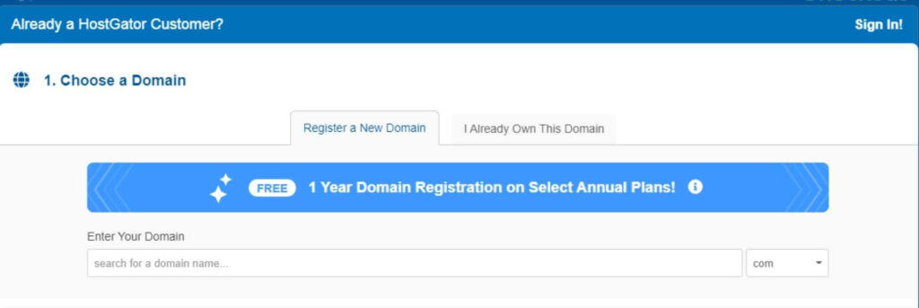 Box to choose a domain name.